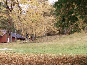 slackline Landeskogen kl